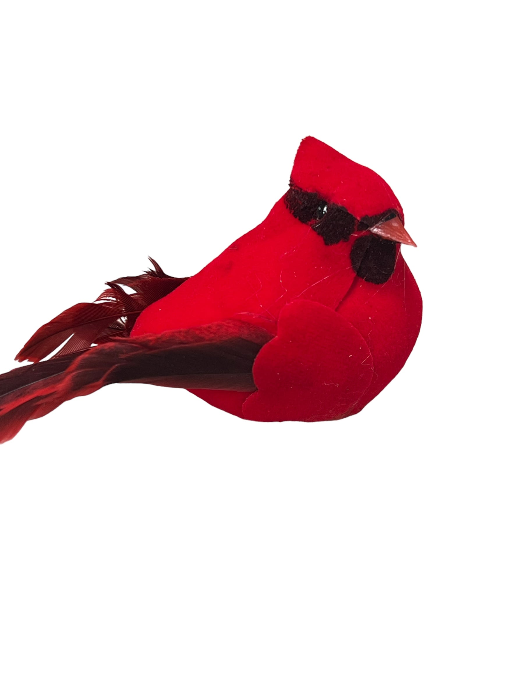 Cardinal